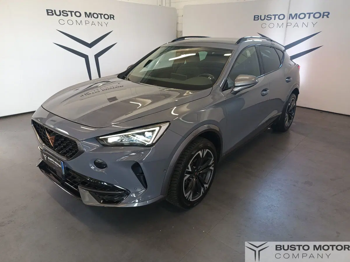 Cupra Formentor usata a Varese (3)