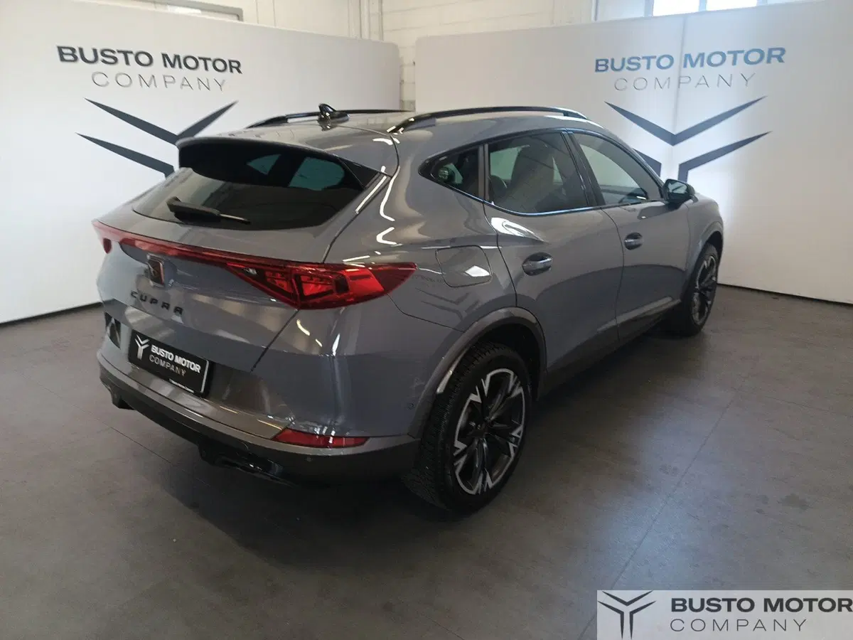 Cupra Formentor usata a Varese (4)