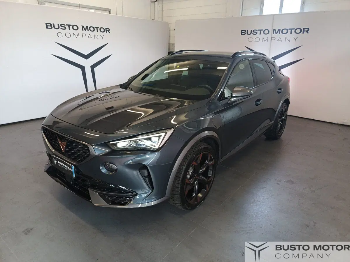 Cupra Formentor usata a Varese (3)