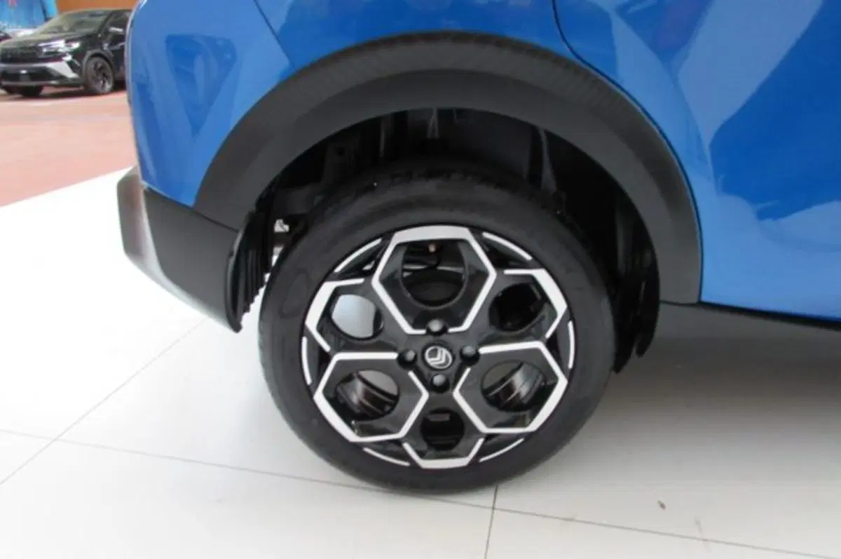 Citroen C3 usata a Milano (18)