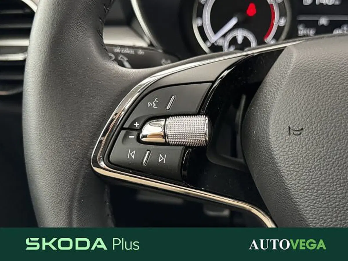 Skoda Fabia usata a Vicenza (18)