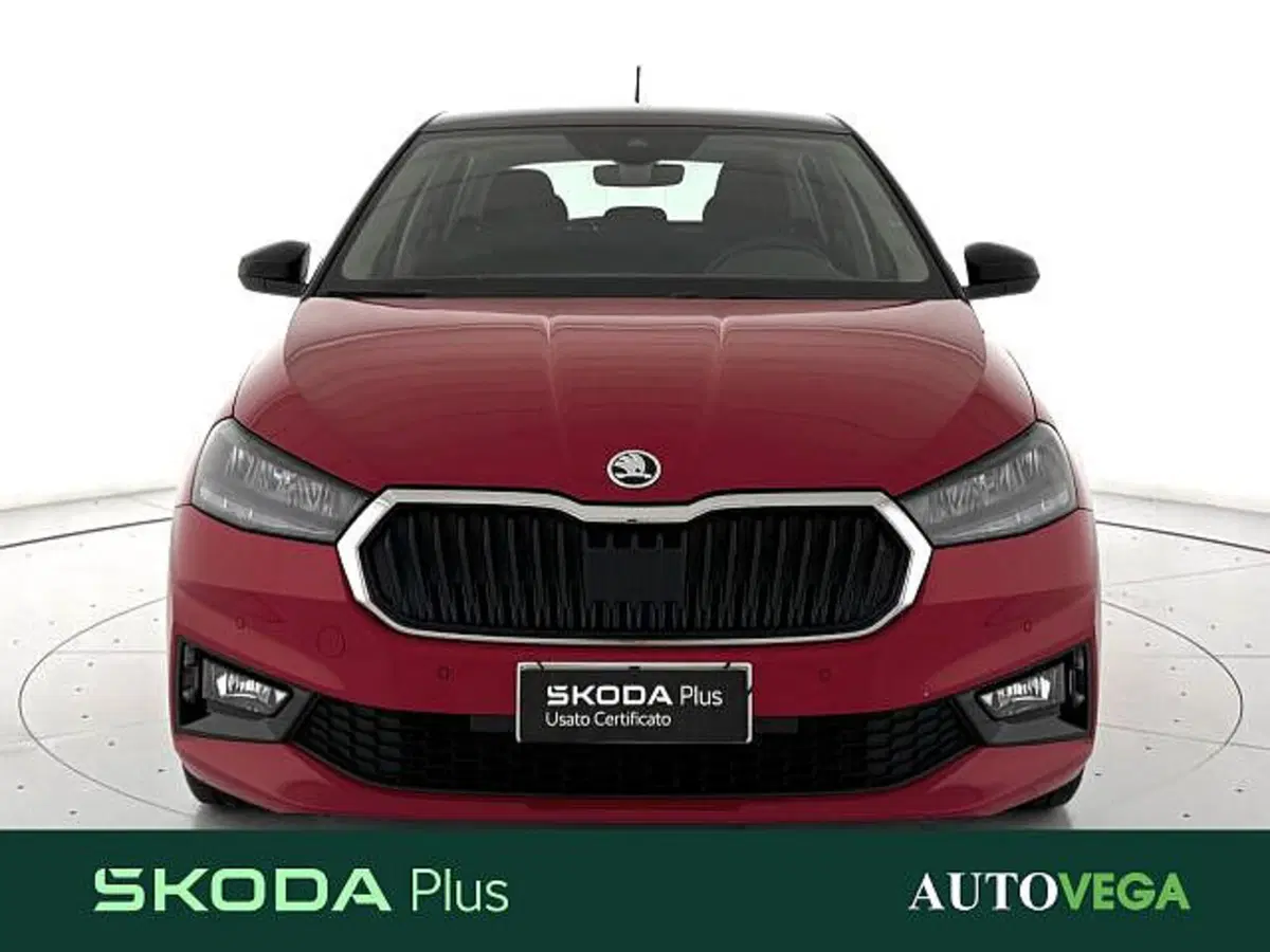 Skoda Fabia usata a Vicenza (2)
