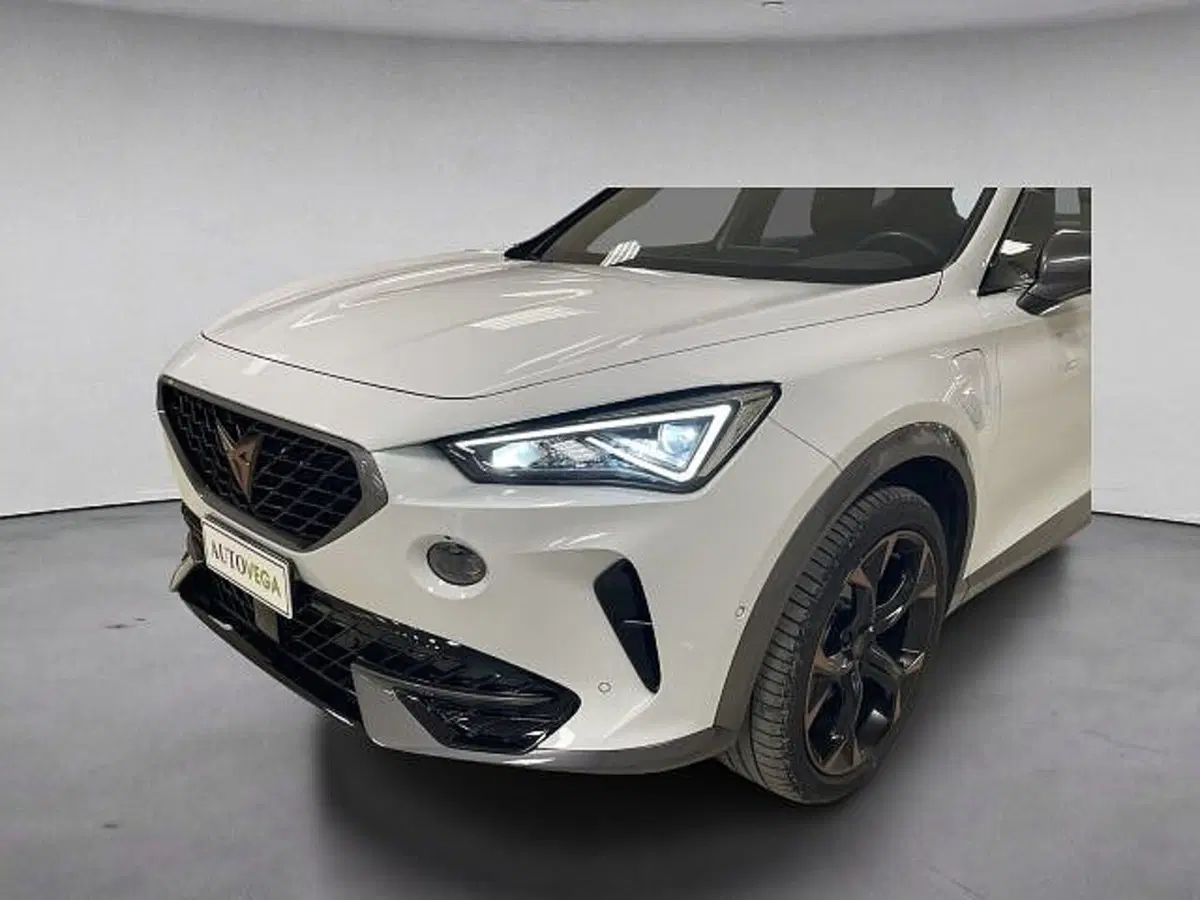 Cupra Formentor usata a Vicenza (18)