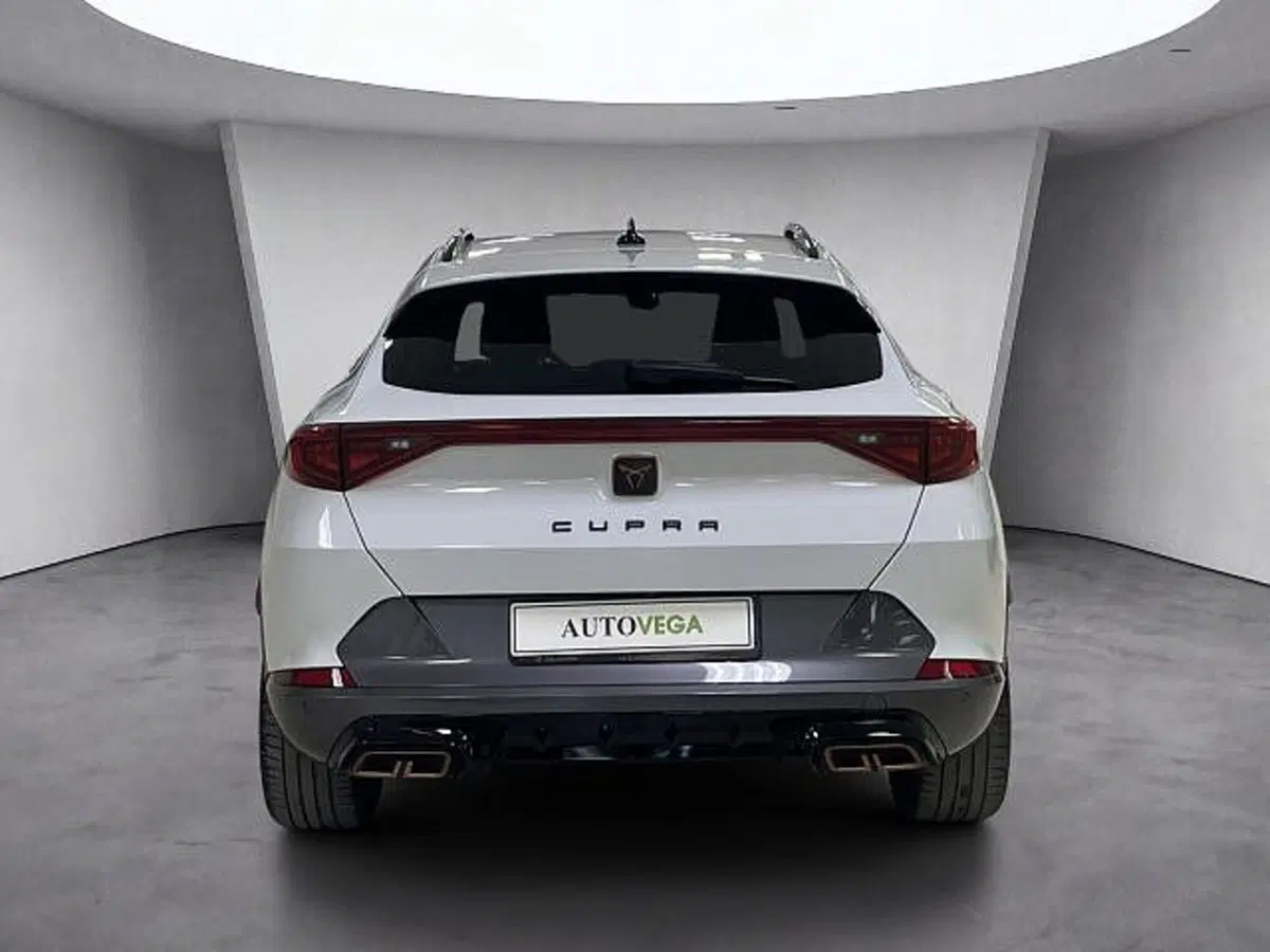 Cupra Formentor usata a Vicenza (3)
