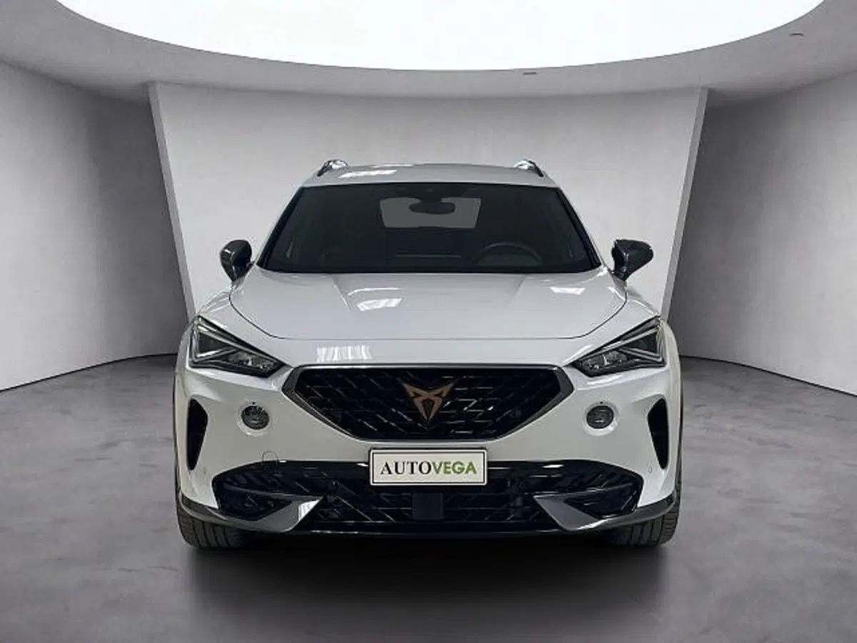 Cupra Formentor usata a Vicenza (5)