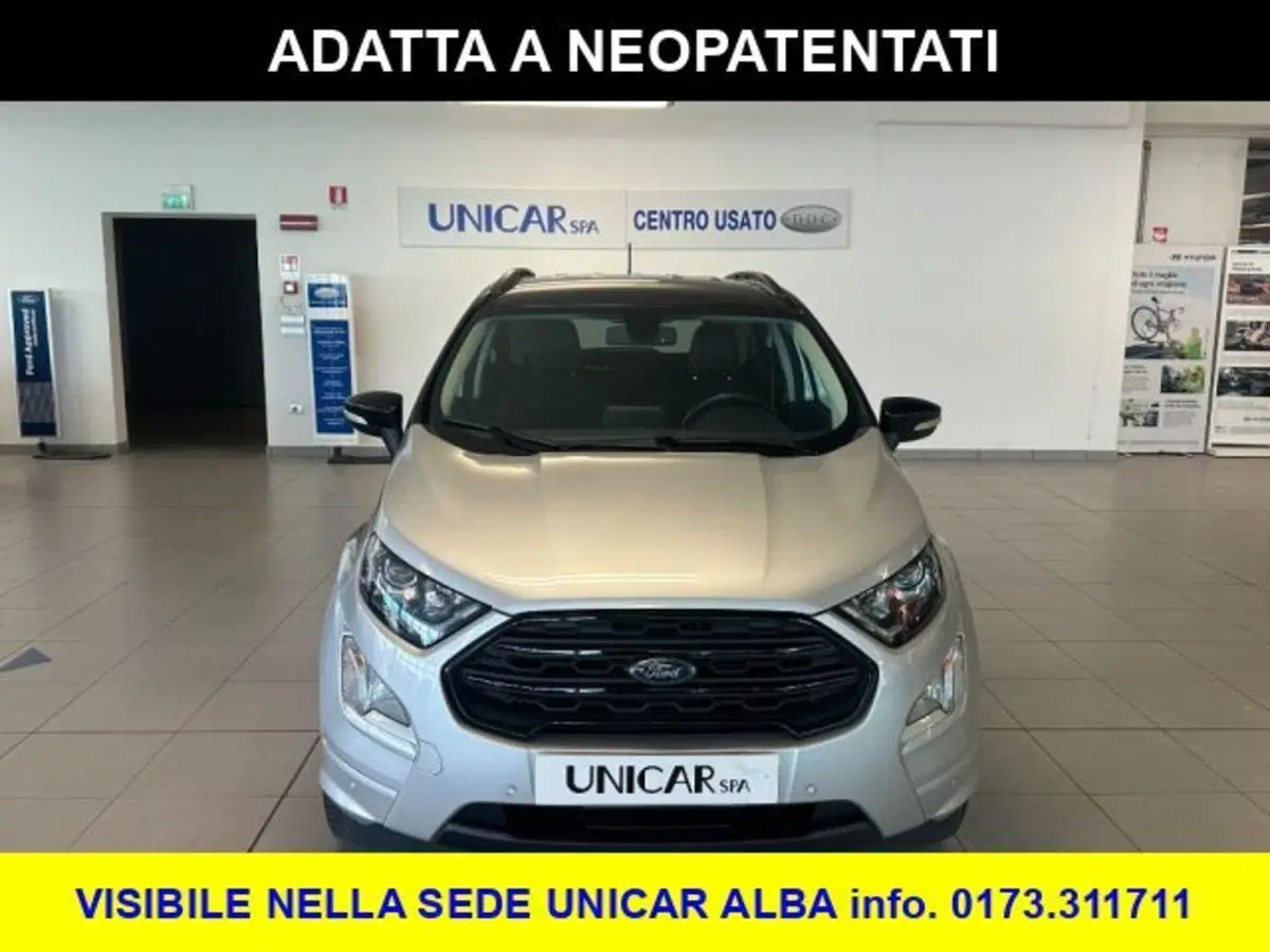 Ford EcoSport usata a Cuneo (2)