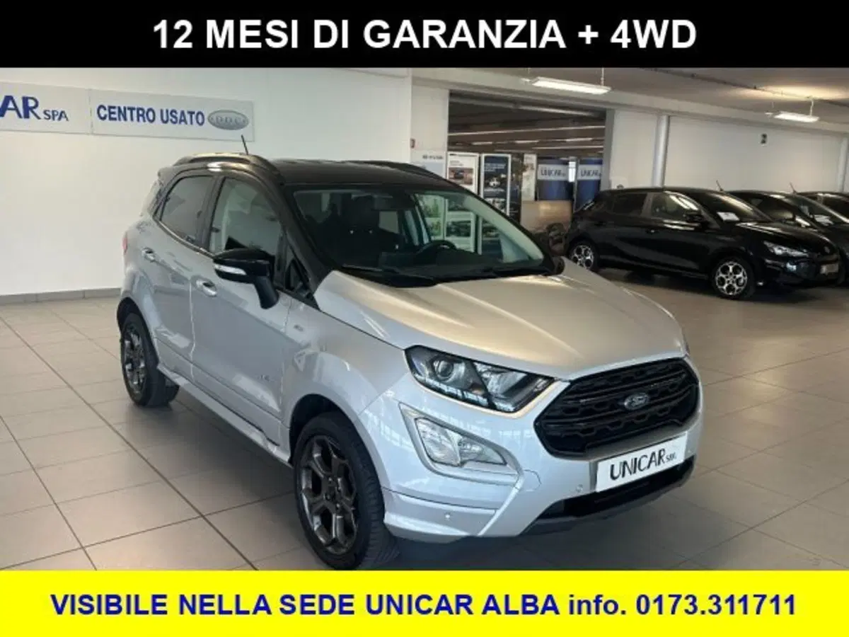 Ford EcoSport usata a Cuneo (3)