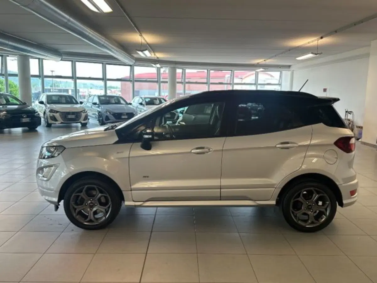 Ford EcoSport usata a Cuneo (4)