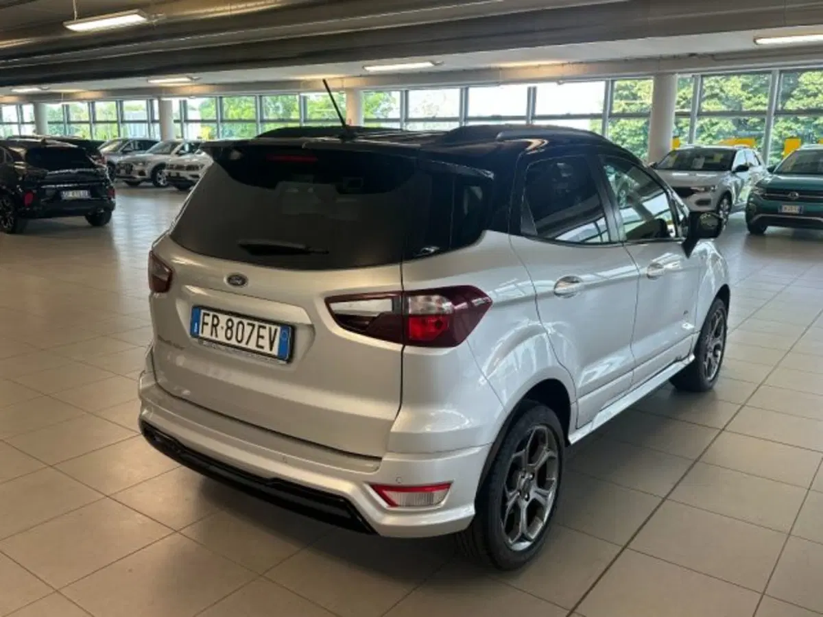 Ford EcoSport usata a Cuneo (7)