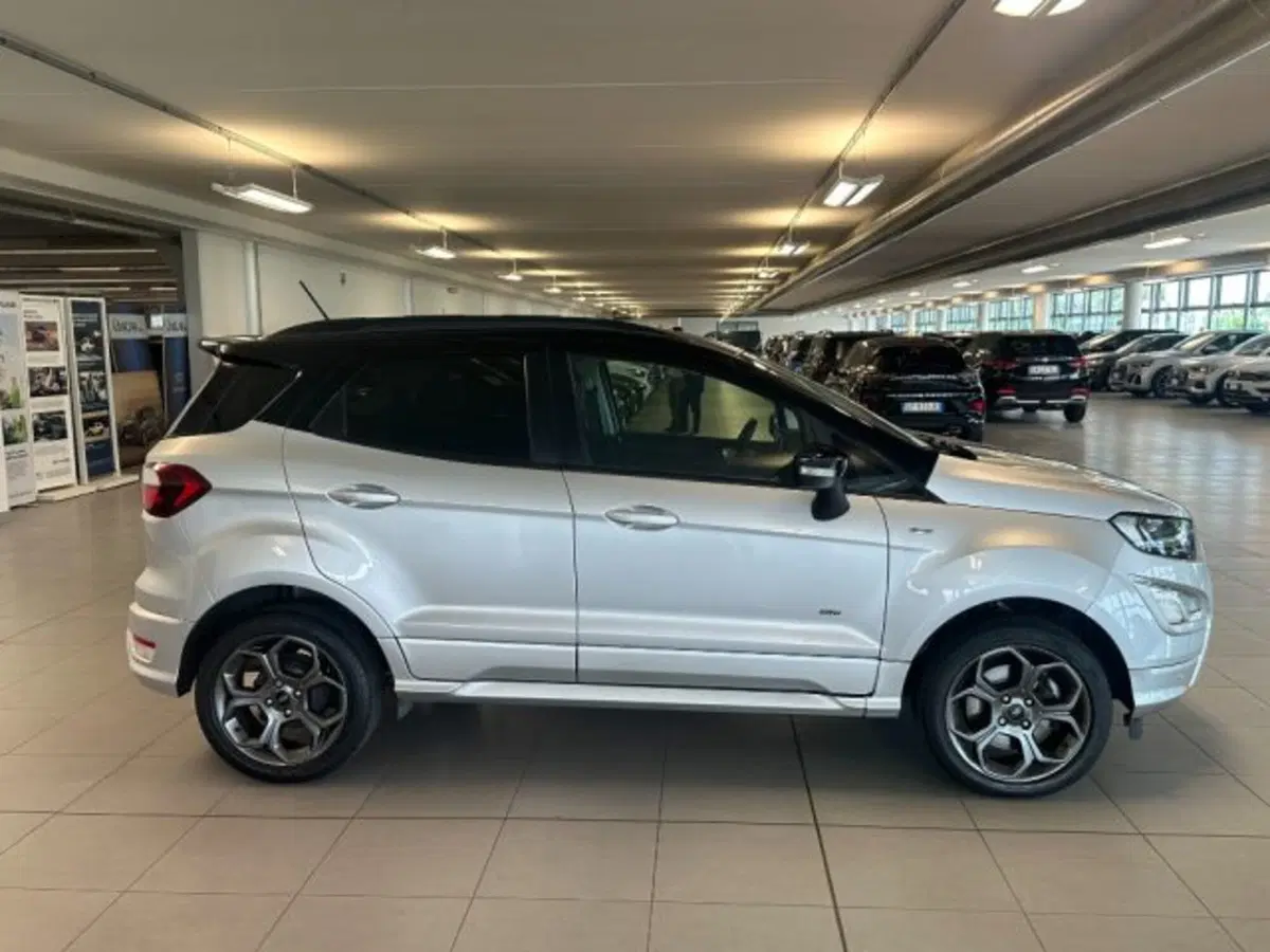 Ford EcoSport usata a Cuneo (8)