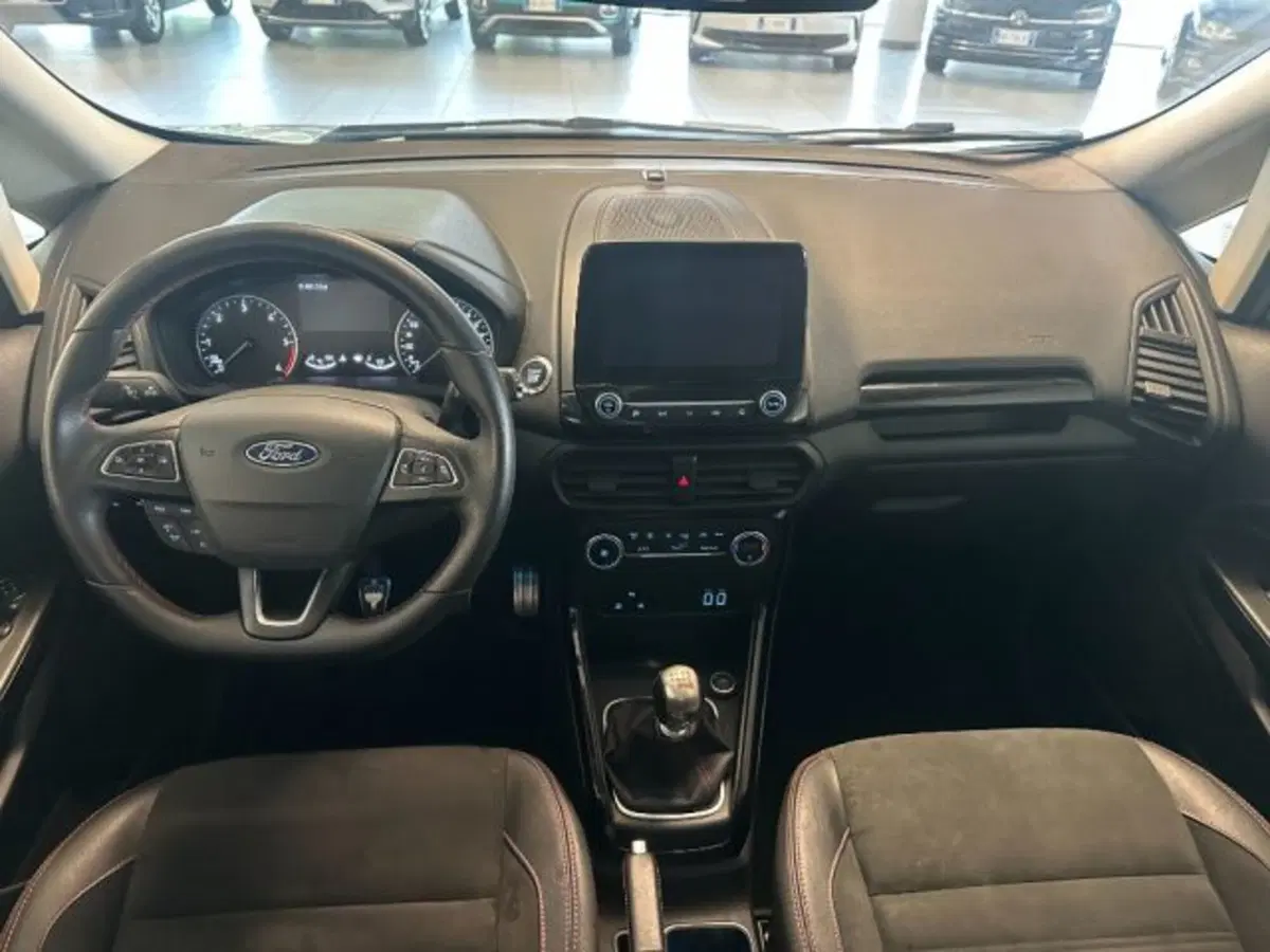 Ford EcoSport usata a Cuneo (9)