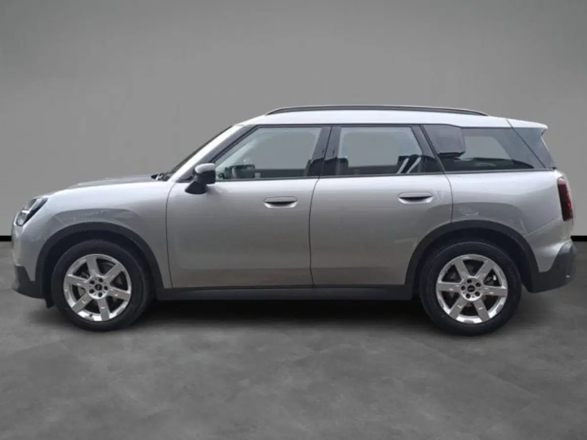 MINI Mini Countryman usata a Verona (3)