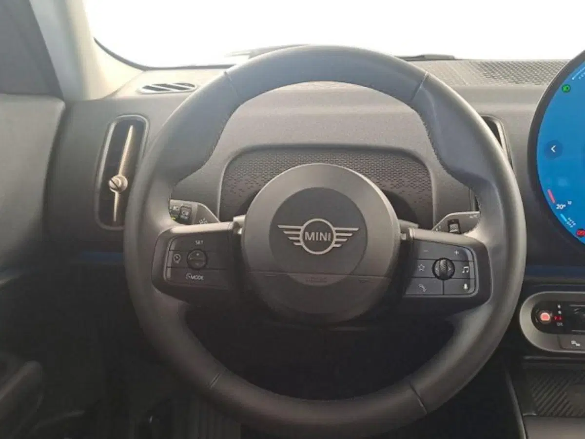 MINI Mini Countryman usata a Verona (10)