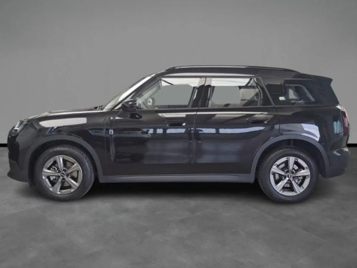 MINI Mini Countryman usata a Verona (3)