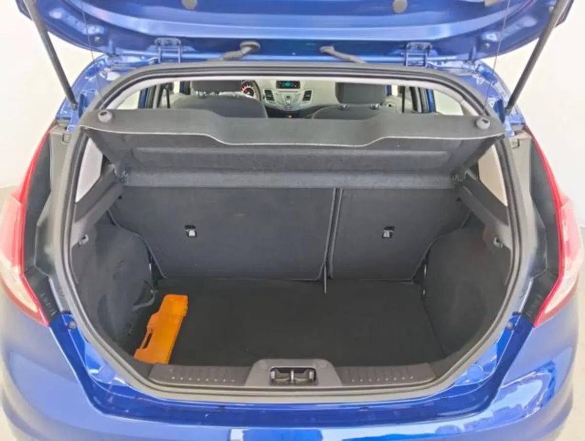 Ford Fiesta usata a Como (14)