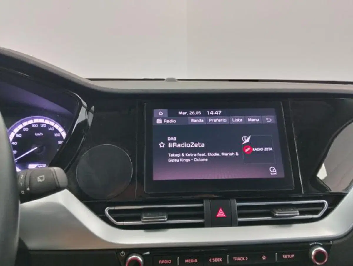 Kia Niro usata a Como (15)