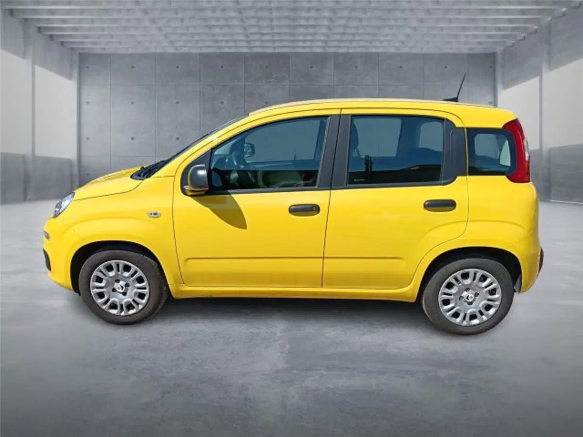 Fiat Panda usata a Bari (7)