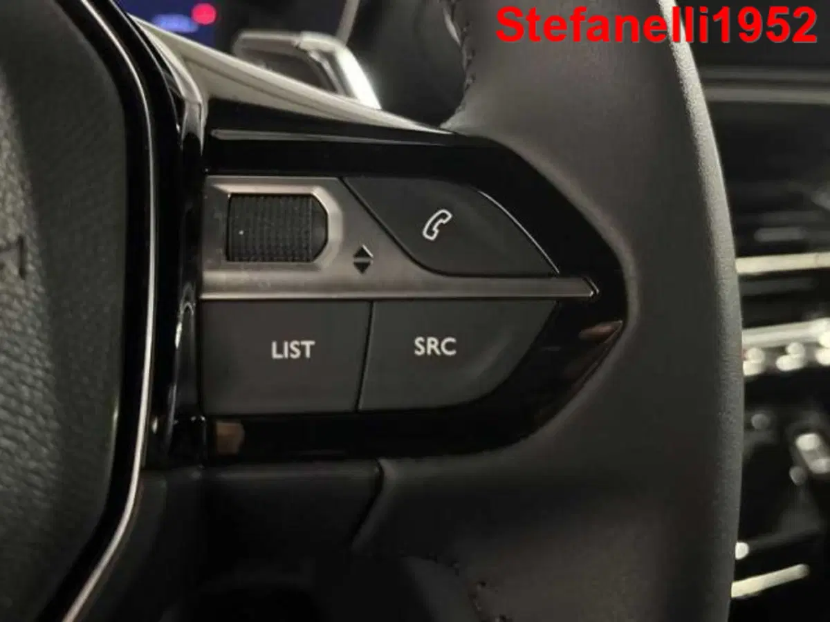 Peugeot 2008 usata a Bologna (19)