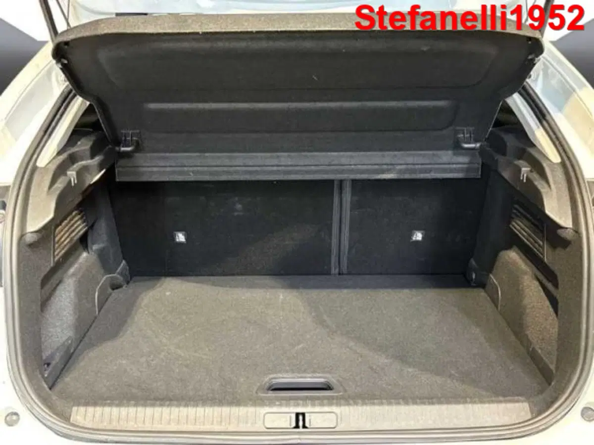 Citroen C4 usata a Bologna (7)