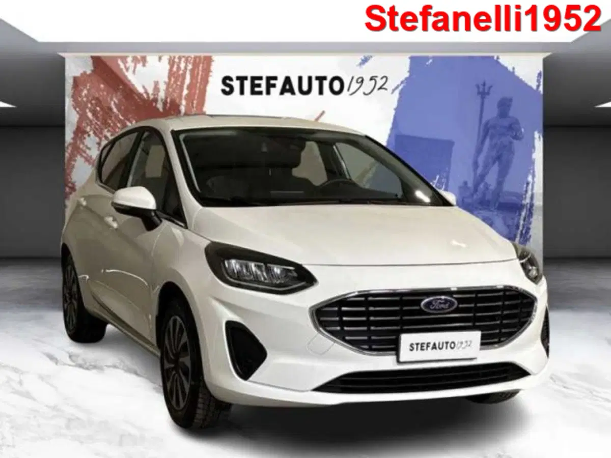 Ford Fiesta usata a Bologna