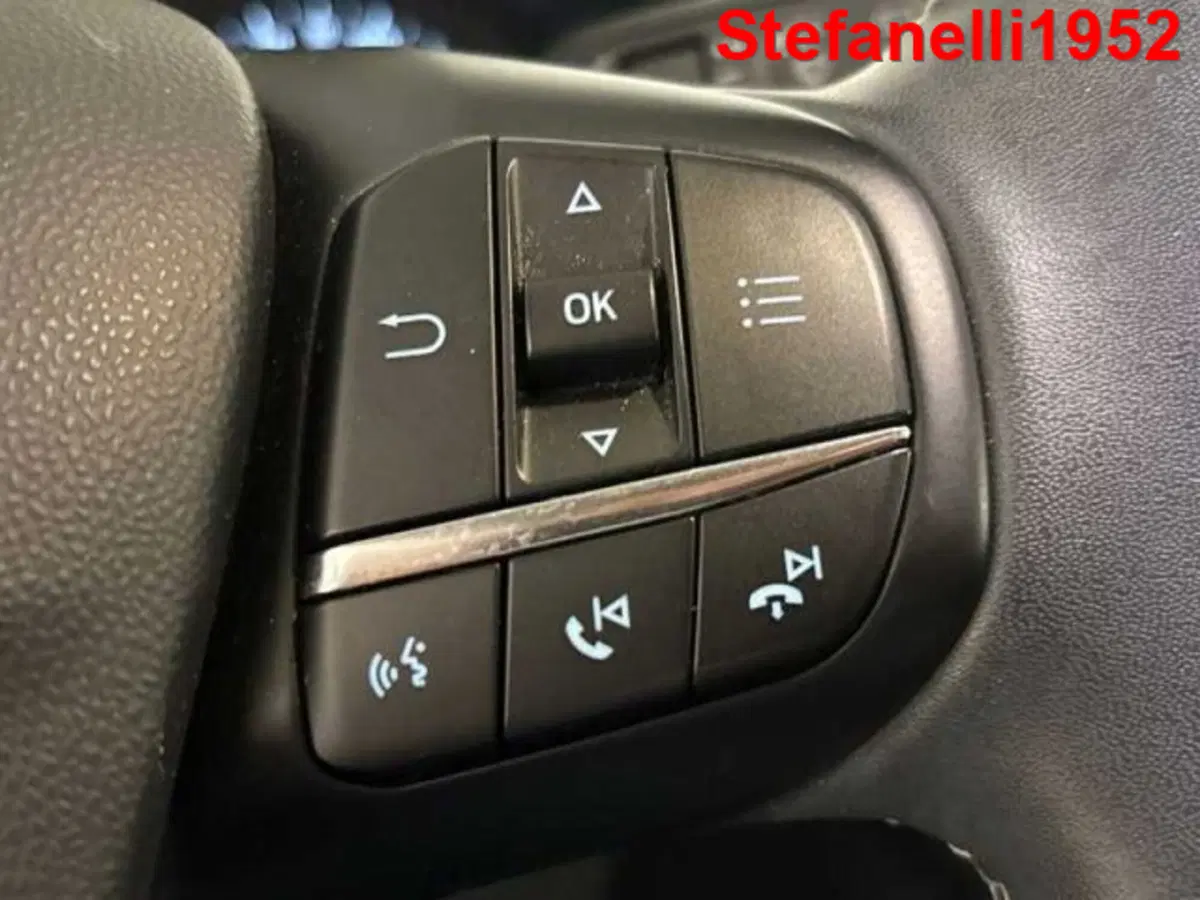 Ford Fiesta usata a Bologna (19)