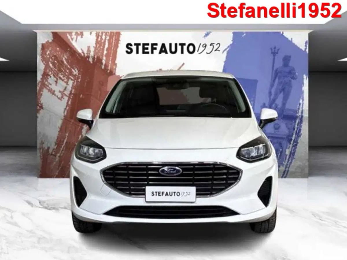 Ford Fiesta usata a Bologna (2)