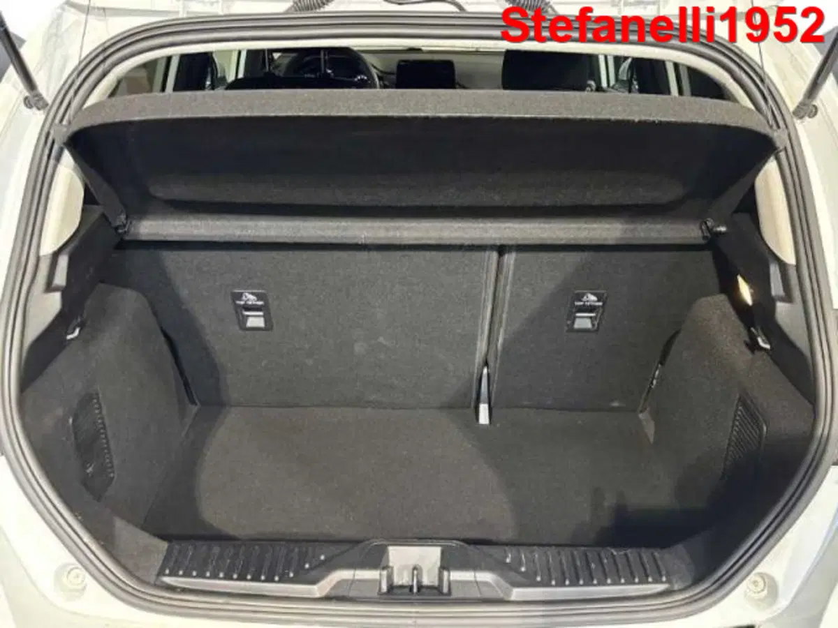 Ford Fiesta usata a Bologna (7)