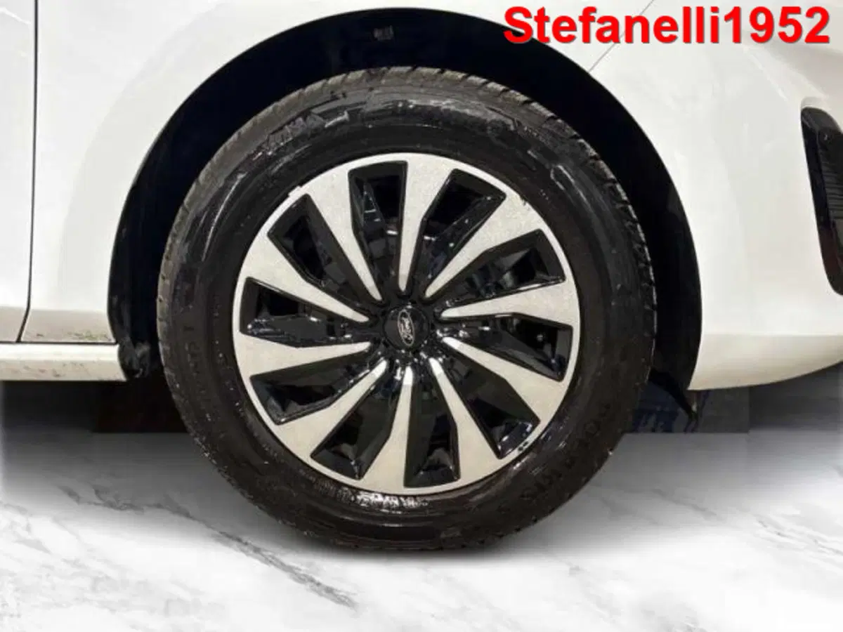 Ford Fiesta usata a Bologna (8)