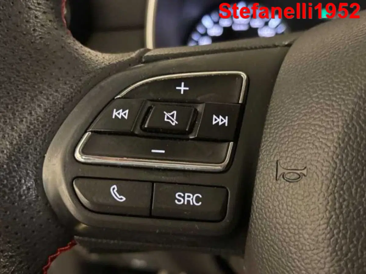 Mg ZS usata a Bologna (20)