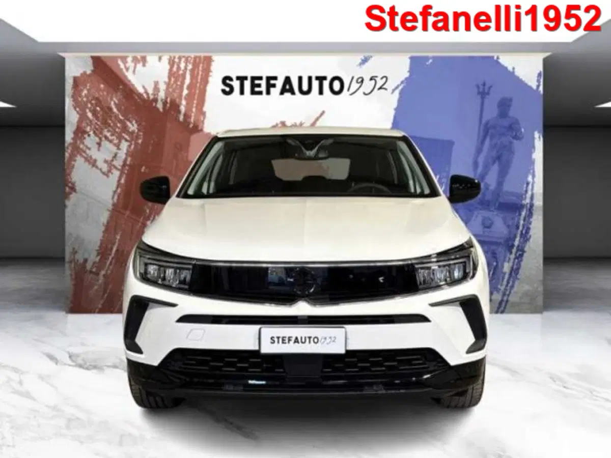 Opel Grandland usata a Bologna (2)