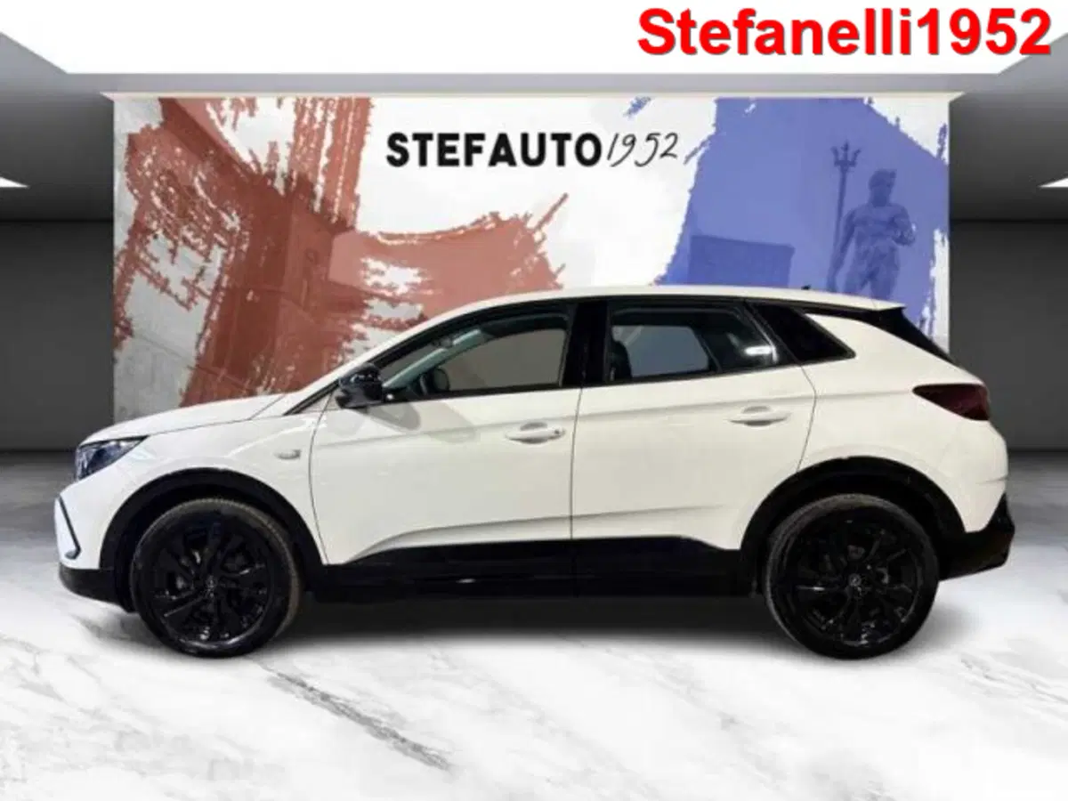 Opel Grandland usata a Bologna (4)