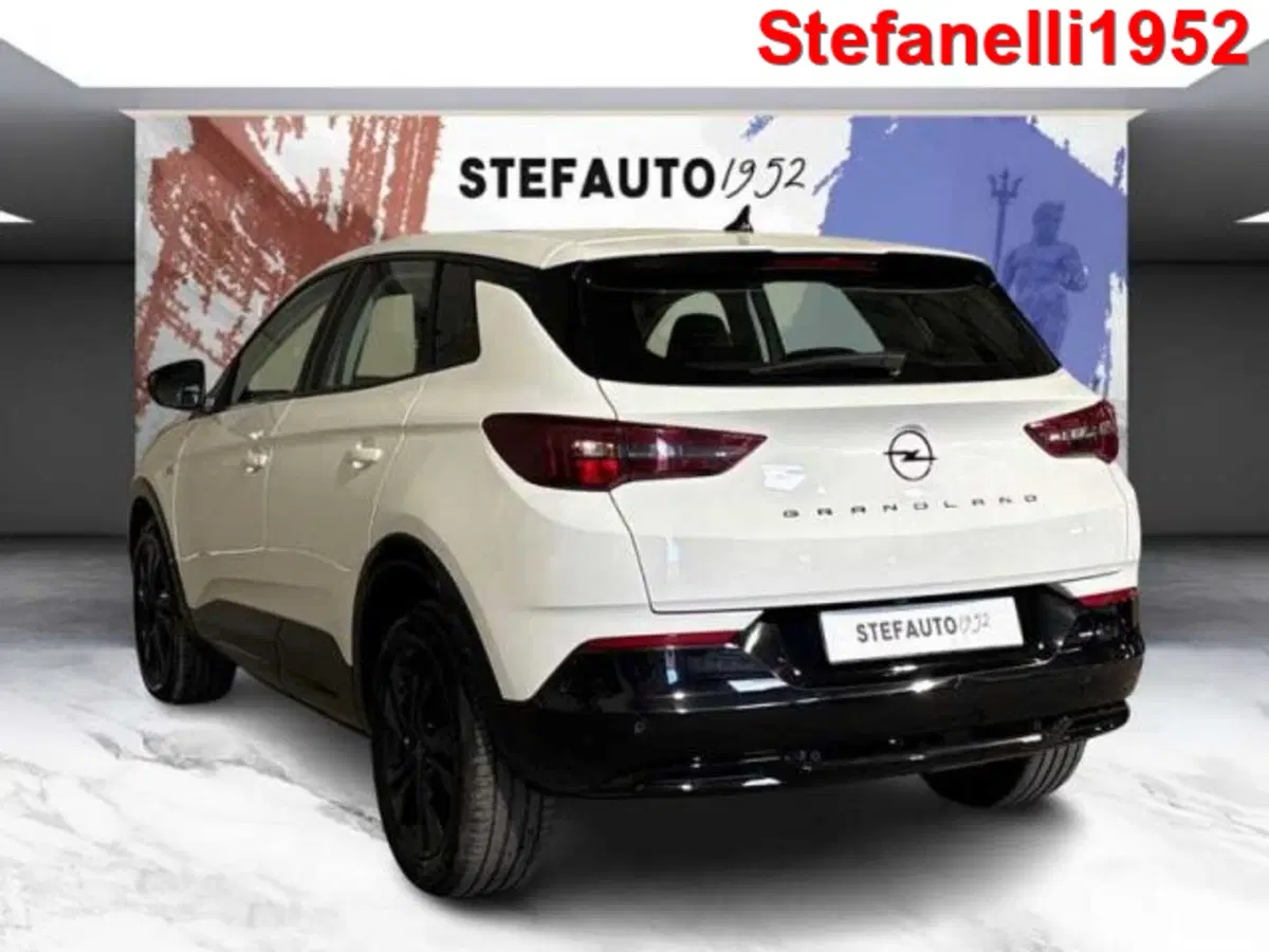 Opel Grandland usata a Bologna (5)