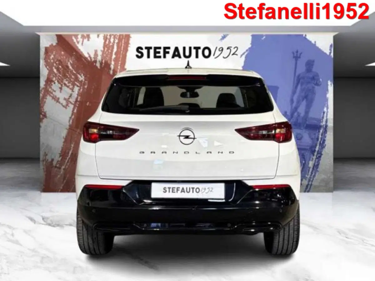 Opel Grandland usata a Bologna (6)
