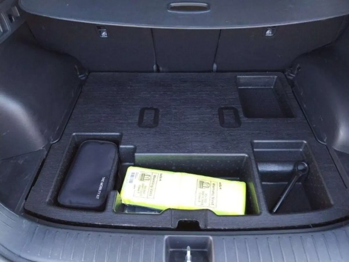 Kia Sportage usata a Firenze (10)