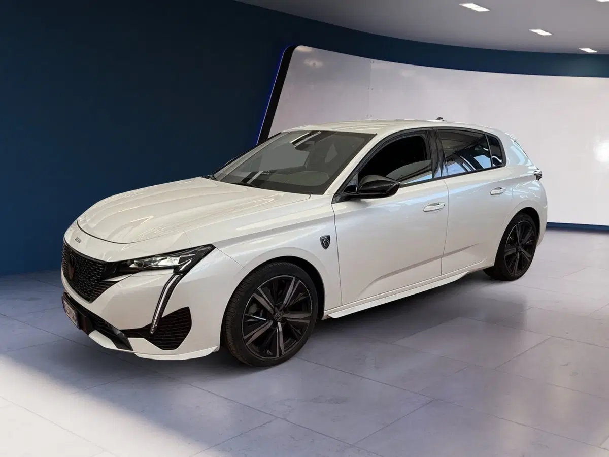 Peugeot 308 usata a Torino (3)
