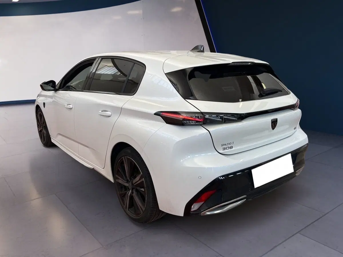 Peugeot 308 usata a Torino (4)