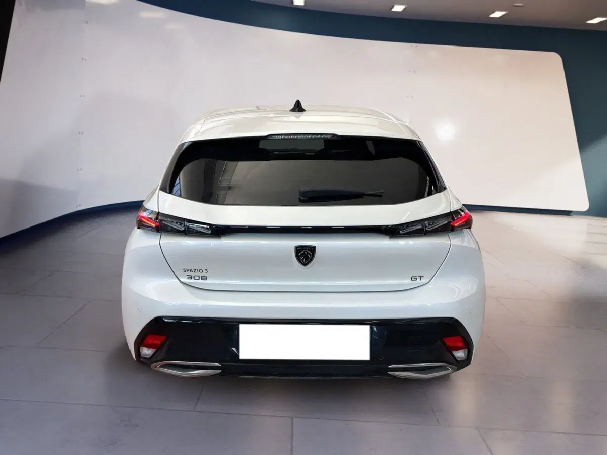 Peugeot 308 usata a Torino (5)