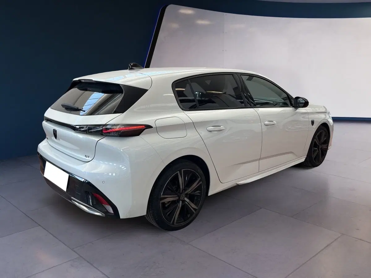 Peugeot 308 usata a Torino (6)