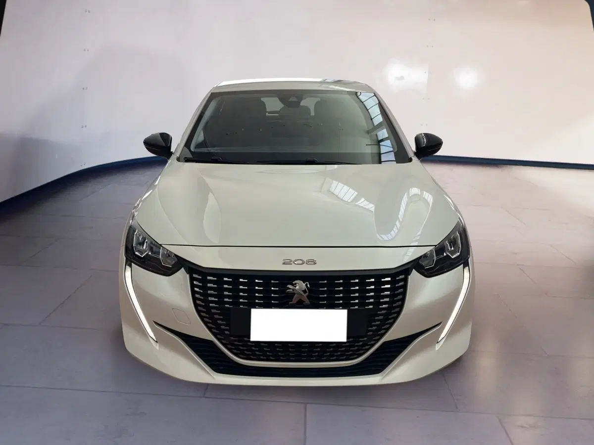 Peugeot 208 usata a Torino