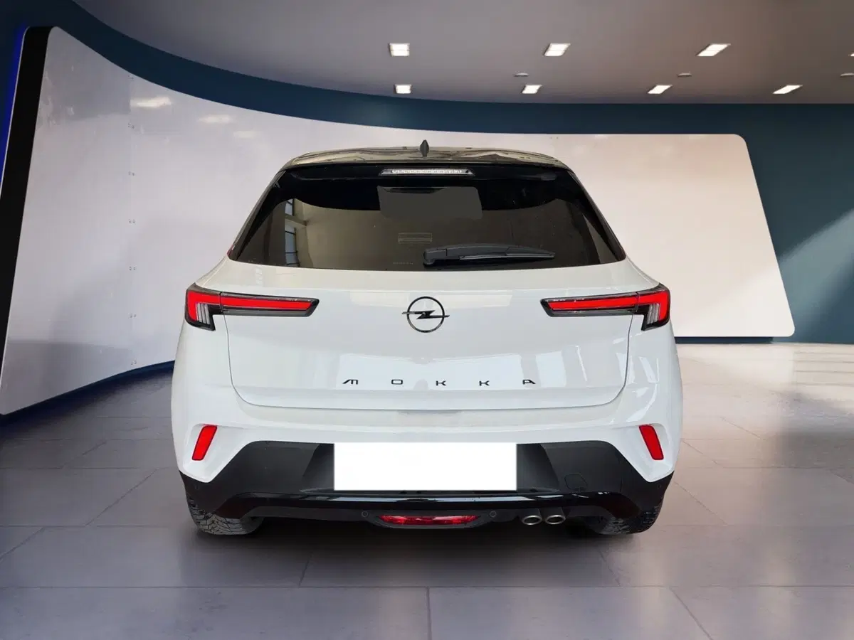 Opel Mokka usata a Torino (5)