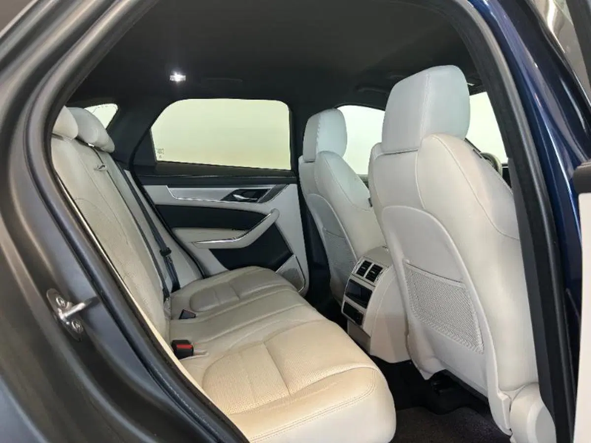 Jaguar F-Pace usata a Venezia (13)