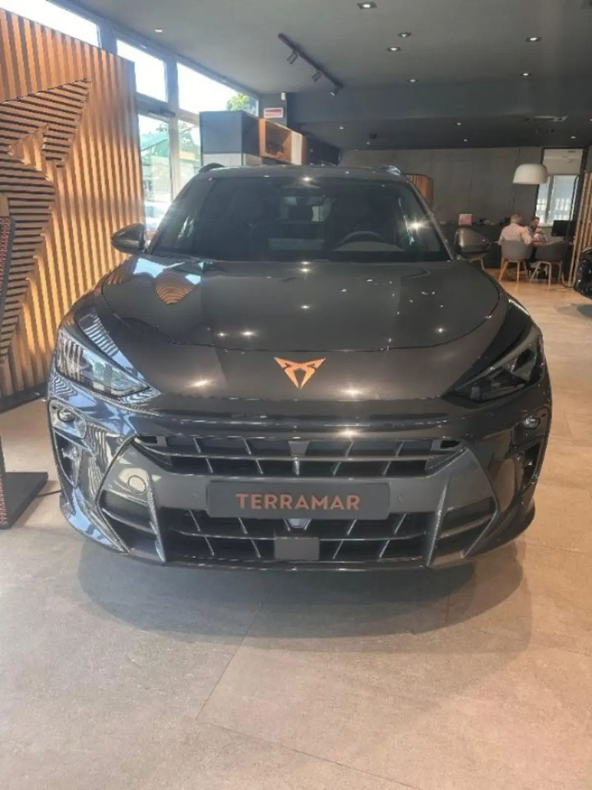 Cupra Terramar nuova a Bologna (2)