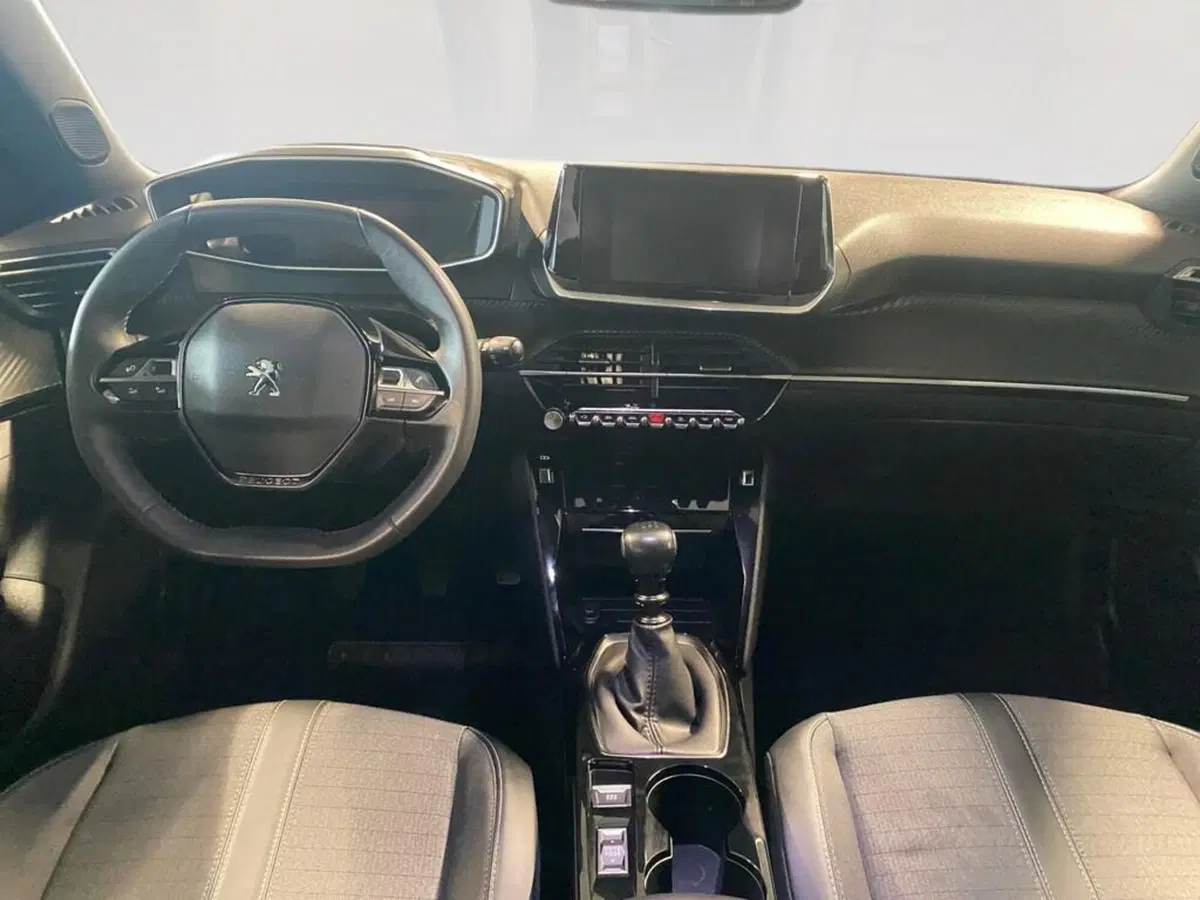 Peugeot 2008 usata a Torino (6)