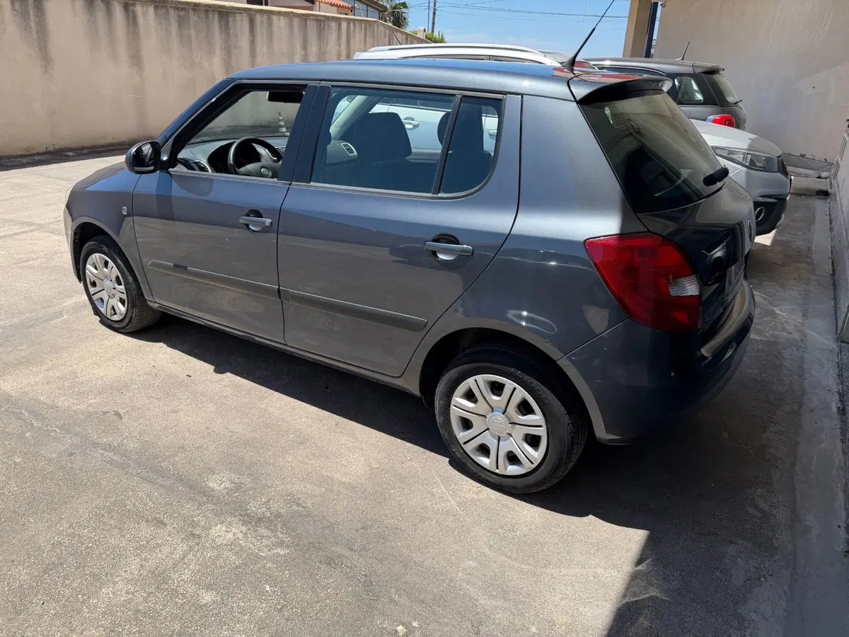 Skoda Fabia usata a Agrigento (3)