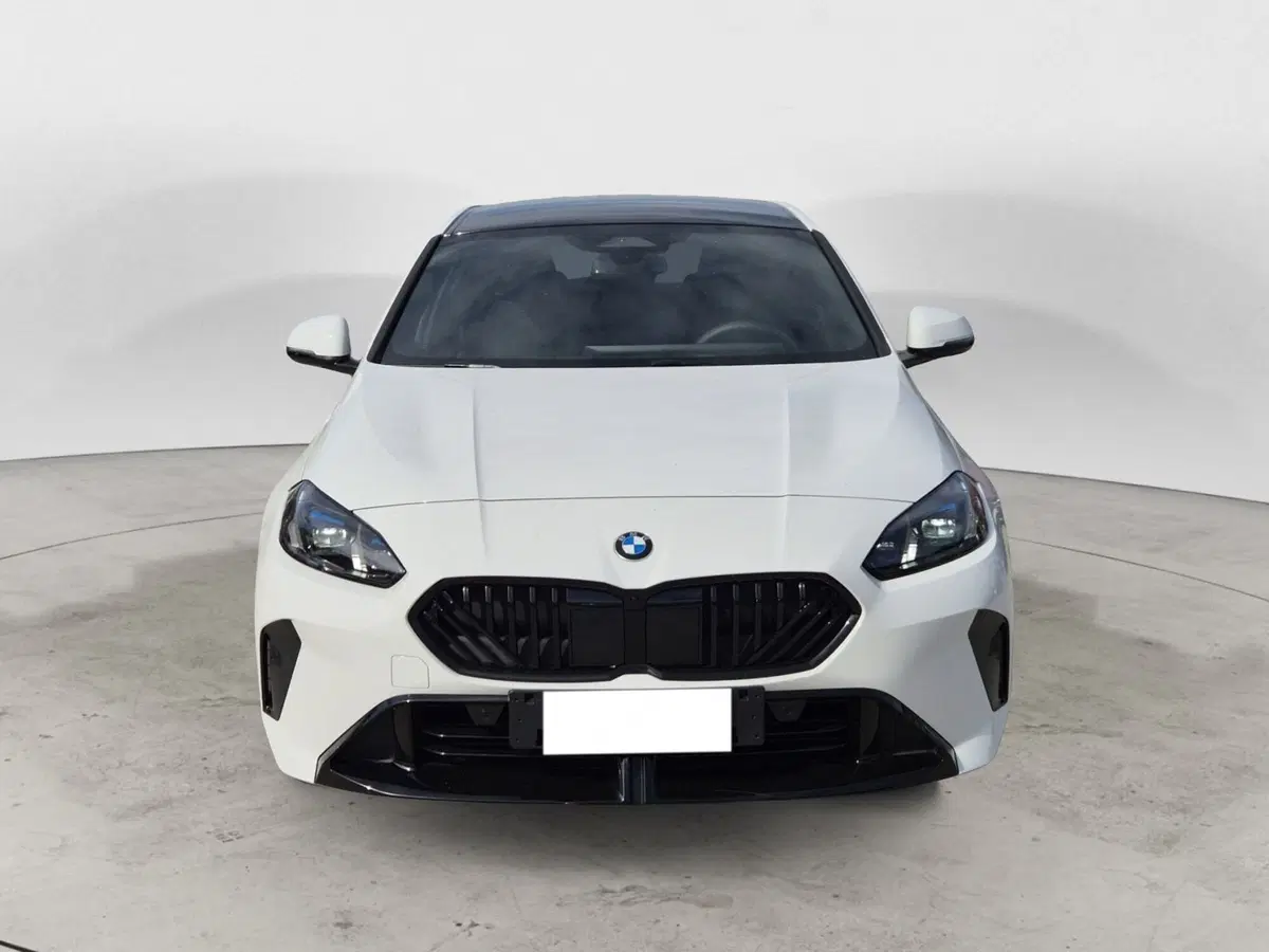 BMW Serie 1 usata  (2)
