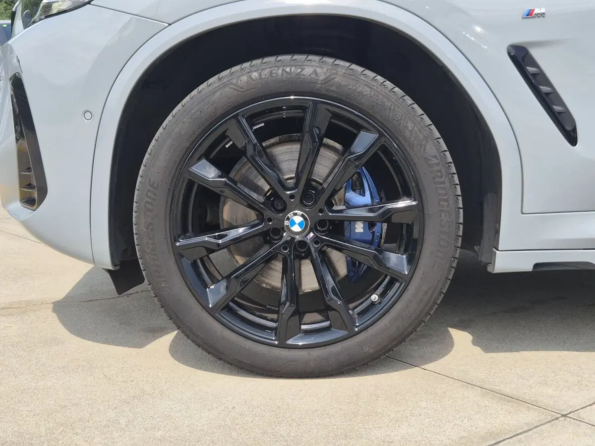 BMW X4 usata  (13)