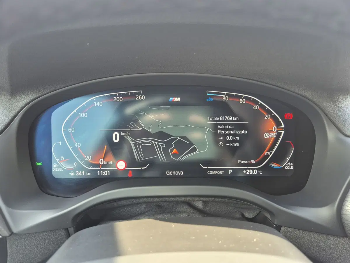 BMW X4 usata  (14)
