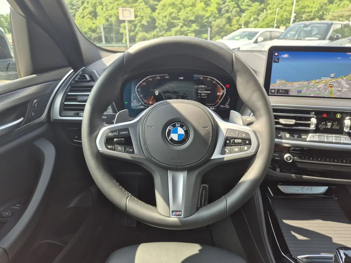 BMW X4 usata  (19)