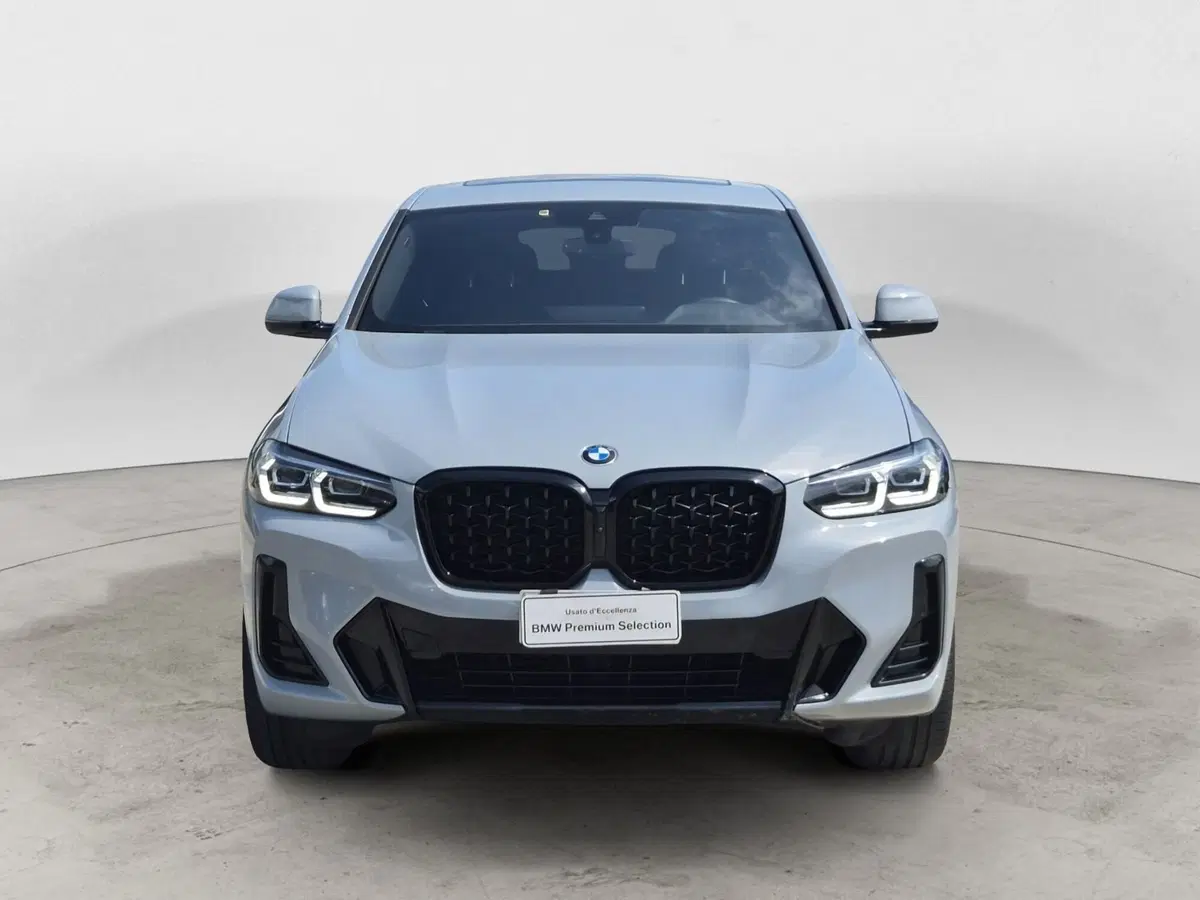 BMW X4 usata  (2)