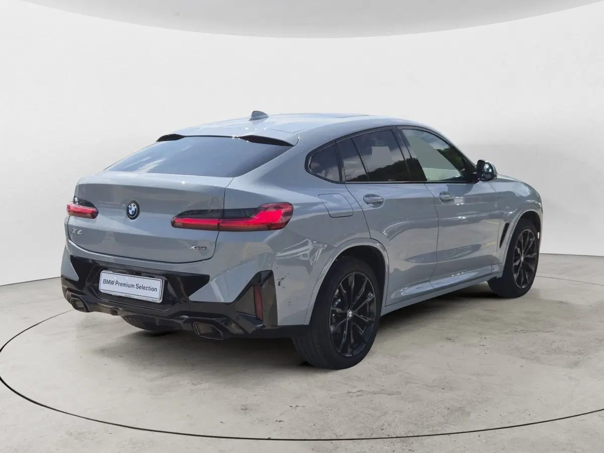 BMW X4 usata  (4)